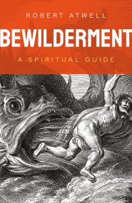 Bewilderment
