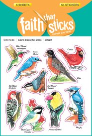 God's Beautiful Birds