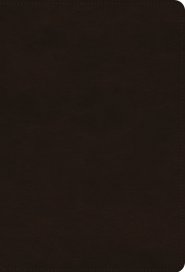 ESV Giant Print Thinline Bible, Red Letter (TruTone, Deep Brown)