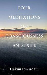 Four Meditations on Consciousness and Exile