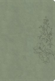 CSB Large Print Thinline Bible, Digital Study Edition, Sage