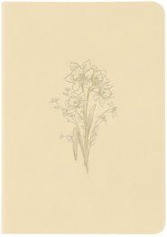 Hosanna Revival Notebook: Belfast Theme