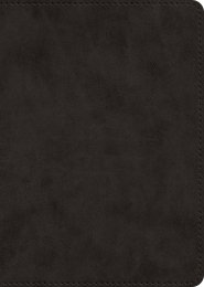 ESV New Testament, Large Print (TruTone, Black)