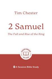 2 Samuel: The Fall and Rise of the King