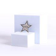 Badge Metal Usher Star Silvertone Magnet