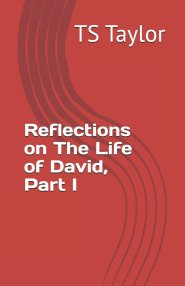 Reflections on The Life of David, Part I