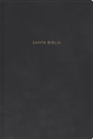 RVR 1960 Biblia Letra Grande, Tamaño Manual, Gris