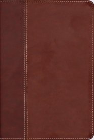 NIV, Cultural Backgrounds Study Bible (Context Changes Everything), Leathersoft, Brown, Red Letter