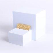 Badge Metal Deaconess Goldtone Pin