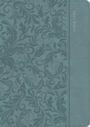 CSB Study Bible, Personal Size, Earthen Teal