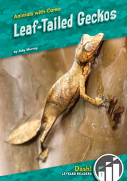 Leaf-tailed Geckos