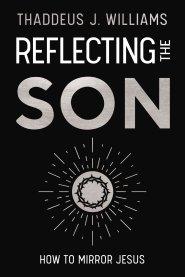 Reflecting the Son