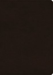 ESV Large Print Value Personal Size Bible (TruTone, Deep Brown)