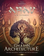AHAV NEW TESTAMENT Volume 2: Appendices