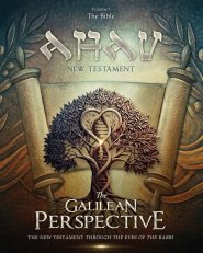 AHAV NEW TESTAMENT Volume 1: The Bible