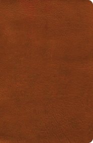 NASB Verse-by-Verse Reference Bible, Burnt Sienna