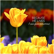 Because He Lives pack of 5 Easter cards