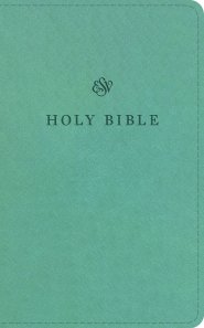 ESV Premium Church Bible (TruTone, Paris Sky)