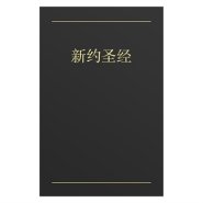 Chinese New Testament - Black Paperback
