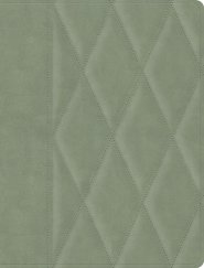 CSB Notetaking Bible, Large Print Edition, Sage Suedesoft