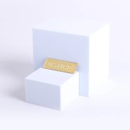 Badge Metal Usher Goldtone Pin