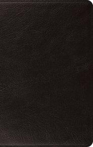 ESV Large Print Thinline Bible (Genuine Leather, Black)