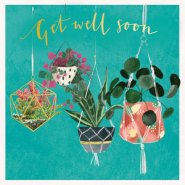 Get Well - Hanging Plants