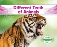 Different Teeth Of Animals