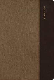 KJV Study Bible, Personal Size Edition, Brown Leathertouch