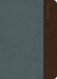 CSB Large Print Compact Reference Bible, Slate/Brown