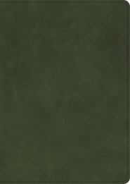 CSB She Reads Truth Bible, Holman Handcrafted Collection, Olive Premium Calfskin