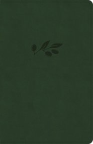 NASB Verse-by-Verse Reference Bible, Olive