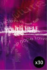 30 x NCV Youth Bible – Purple
