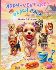 Addy-ventures: The Beach Pack