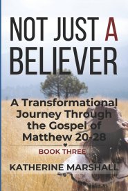 Not Just A Believer: A Transformational Journey Through the Gospel of Matthew Book Three