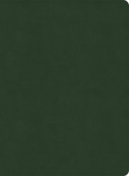 NASB Study Bible, Olive Leathertouch, Indexed