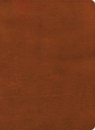 NASB Study Bible, Burnt Sienna Leathertouch