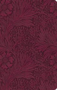 ESV Large Print Value Thinline Bible (TruTone, Raspberry, Floral Design)