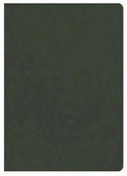 CSB Lumen Dei Bible, Lux Gloriae: Single-Column Wide-Margin