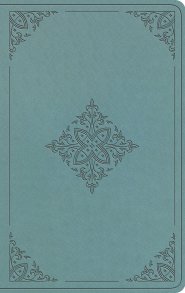ESV Value Thinline Bible (TruTone, Paris Sky, Fleur-de-lis Design)