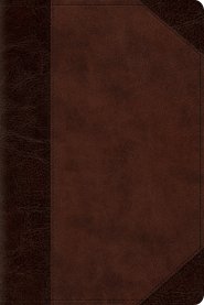 ESV Personal Size Reference Bible (TruTone, Brown/Walnut, Portfolio Design)