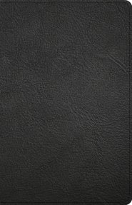 CSB Thinline Bible, Anglicised Edition, Black Leather