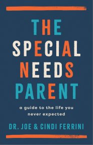 The Special Needs Parent
