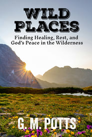 Wild Places : Finding Healing, Rest, and God's Peace in the Wilderness