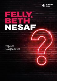 Felly Beth Nesa (10 pack) (Welsh)