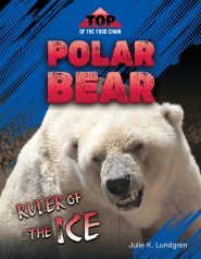 Polar Bear: Ruler Of The Ice