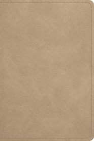 ESV Beholding Christ Bible