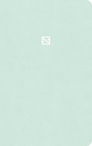 CSB Teen Study Bible, Optimal Type, Mint, Indexed