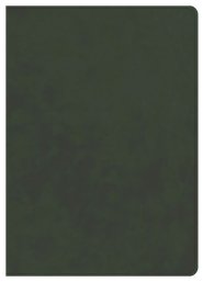CSB Lumen Dei Bible, Lux Vitae: Single-Column Verse-By-Verse