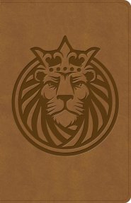 CSB Kids Bible, Anglicised Edition, Lion Leathertouch